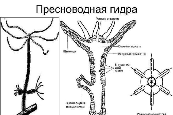 Омг сайт магазин