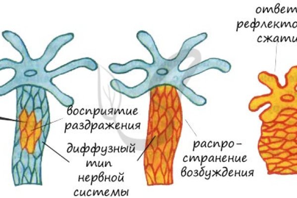 Ссылка на омгу