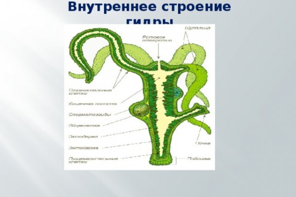 Ссылка омг омг омг